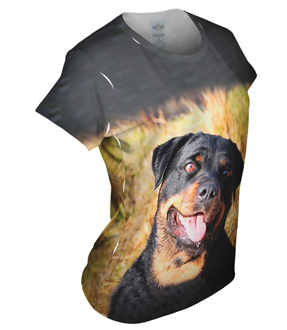 Bashful Rottweiler