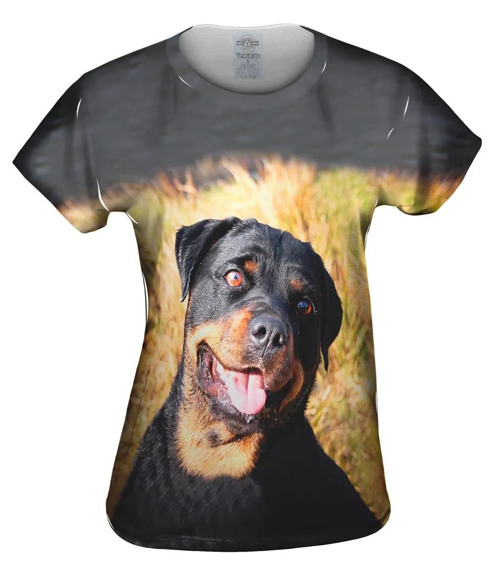 Bashful Rottweiler