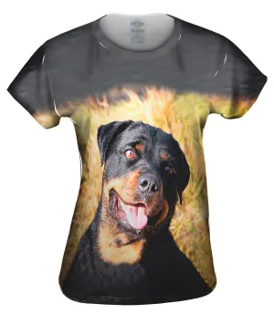 Bashful Rottweiler