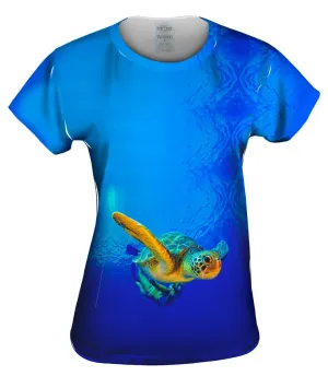 Complicidad Turtle Dive Underwater