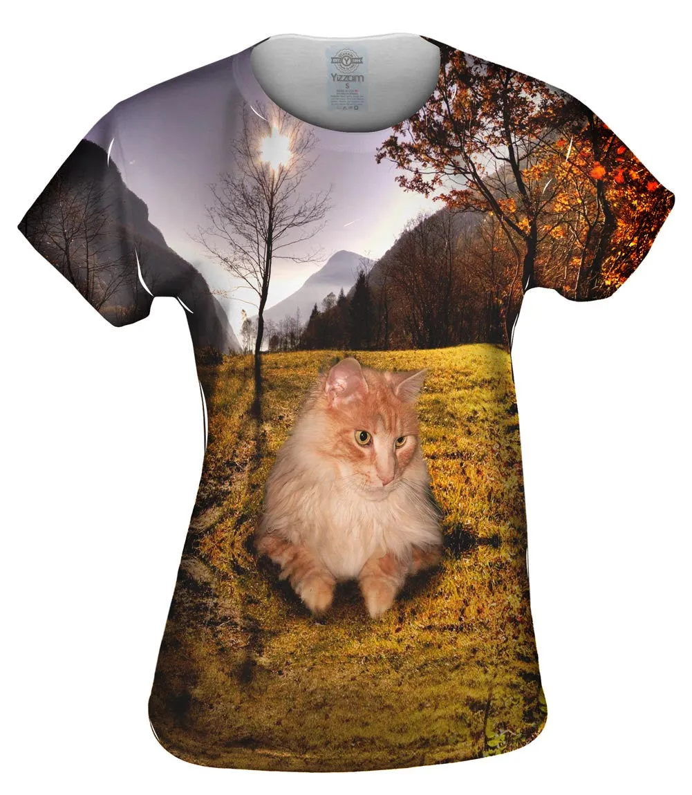 Cool Hill Cat