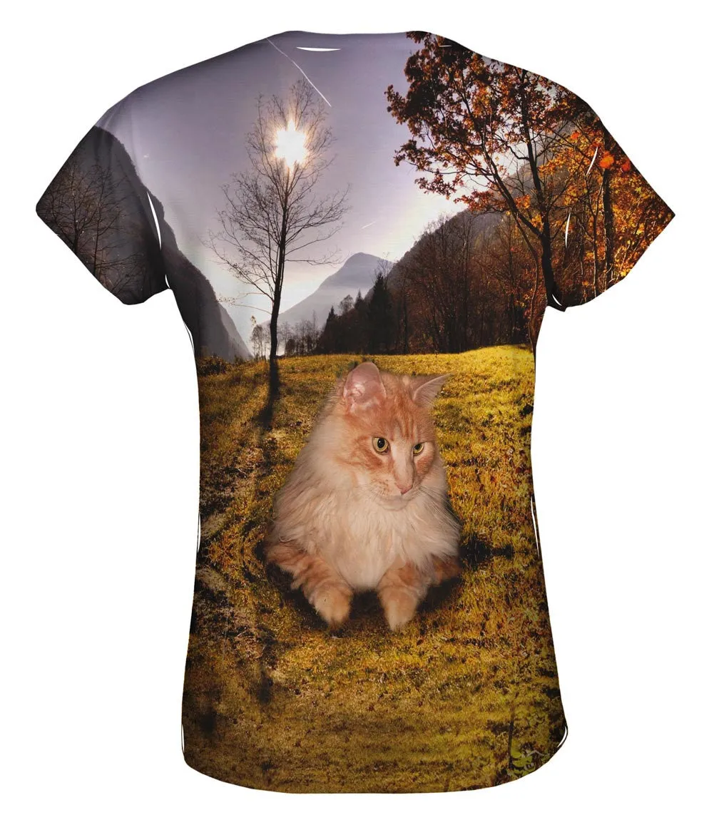 Cool Hill Cat