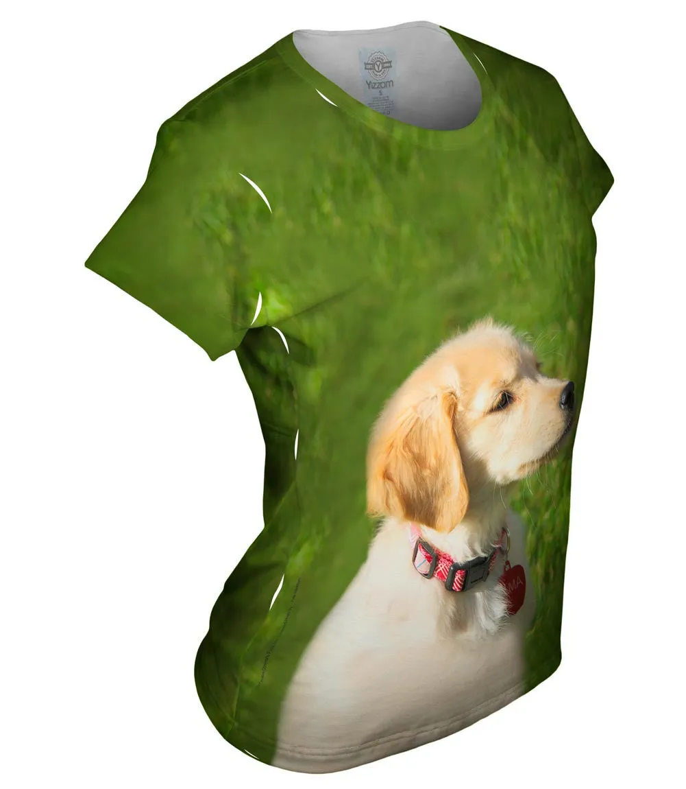 Dreamy Yellow Labrador Puppy
