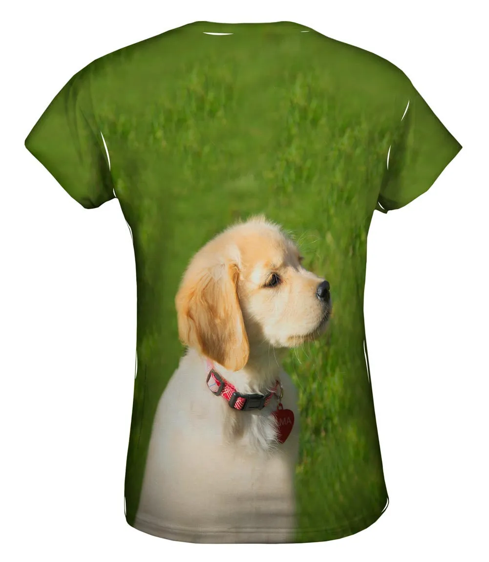 Dreamy Yellow Labrador Puppy