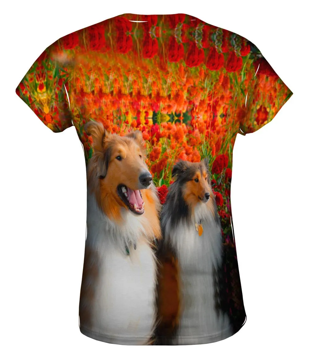 Happy Collie