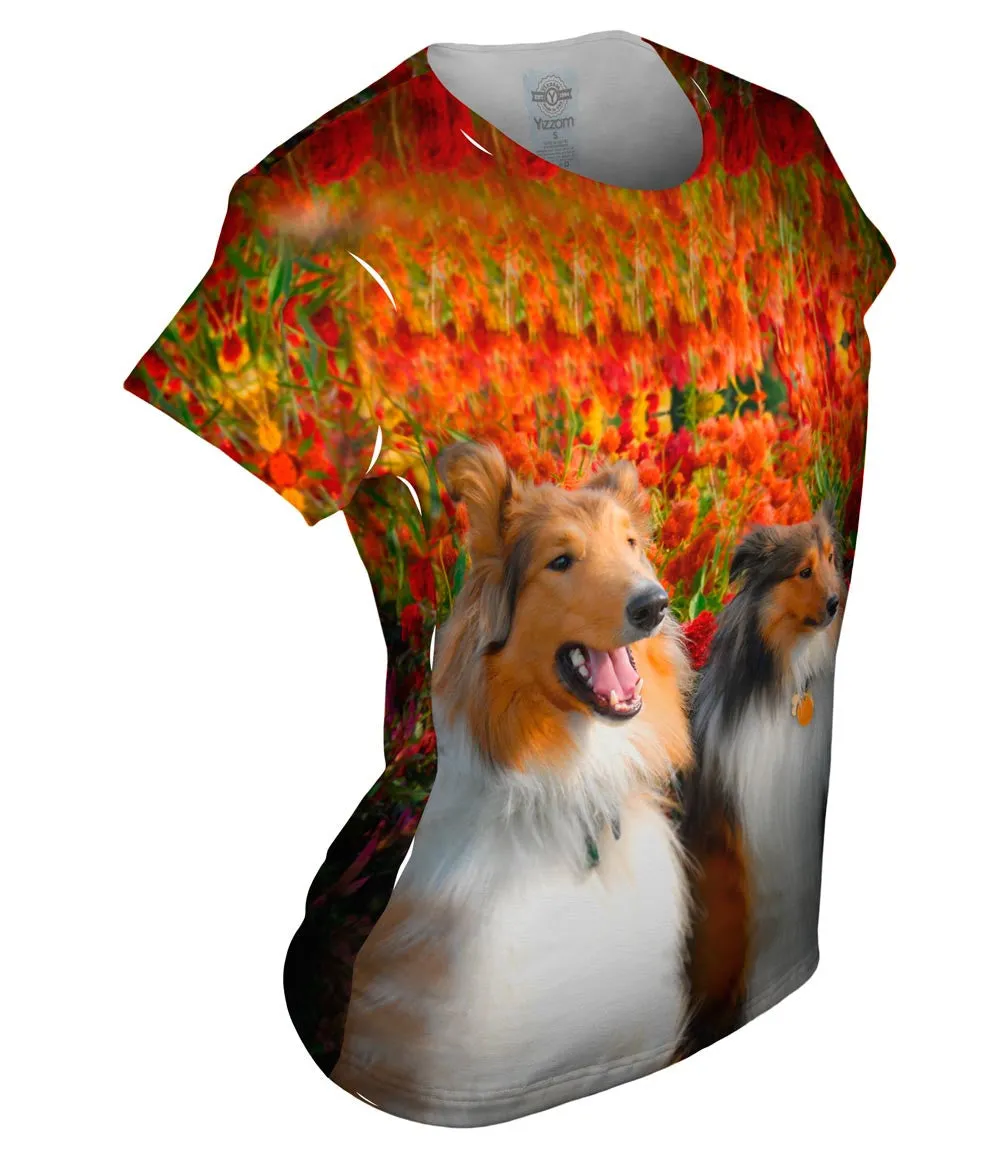 Happy Collie